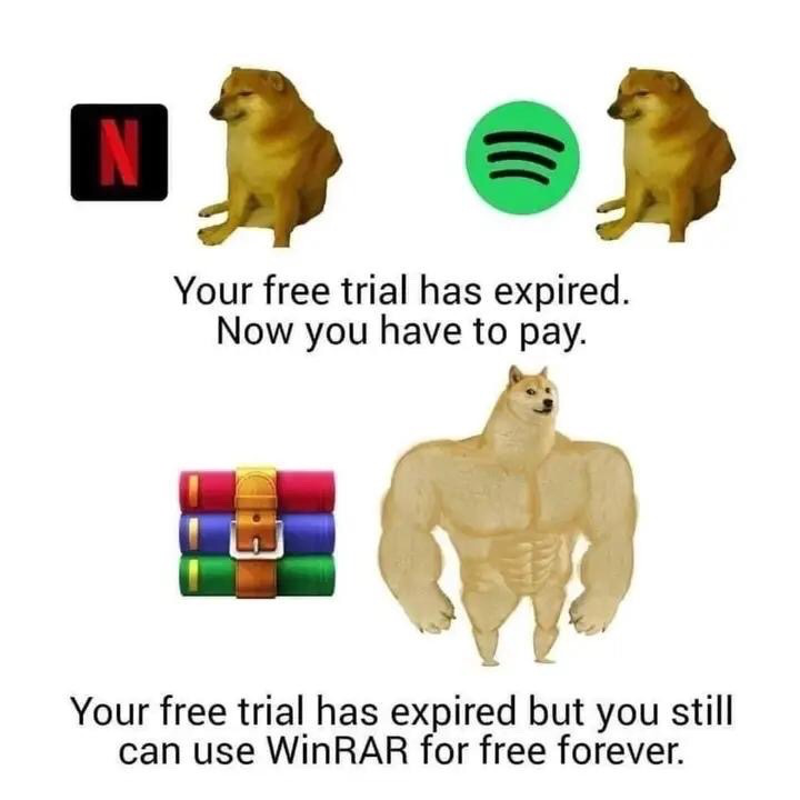 This comparison meme uses the popular Swole Doge vs Cheems format to joke about differing free trial policies. The top section shows the Netflix and Spotify logos paired with the unamused regular Cheems Shiba Inu, accompanied by text reading 'Your free trial has expired. Now you have to pay.' The bottom section pairs the WinRAR logo with the muscular, confident Buff Doge, with text saying 'Your free trial has expired but you still can use WinRAR for free forever.' It references the widely known fact that WinRAR never locks users out of the software after their 40-day free trial ends, unlike popular streaming platforms that immediately restrict access until a subscription is paid.