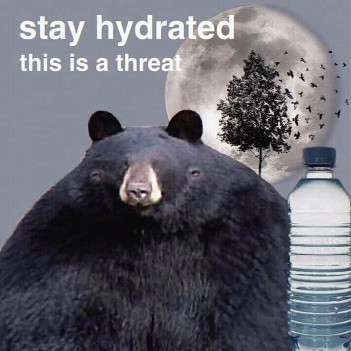 This is a surreal collage meme. A large black bear with a blank, unblinking, slightly menacing deadpan stare dominates the foreground, facing directly at the viewer. To the bear's right sits a standard clear plastic disposable water bottle. The background features a giant full moon, a silhouetted dark tree, and a flock of small birds flying next to the tree. White sans-serif text in the top left corner reads 'stay hydrated this is a threat'. The humor comes from the absurd juxtaposition of the common, helpful public health reminder to drink enough water with the intimidating delivery from the staring bear and ominous night background, framing the mundane tip as a non-negotiable demand that viewers dare not refuse.