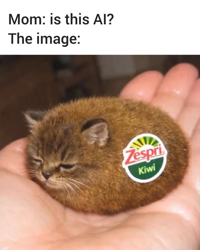 A two-panel meme where the top text reads 'Mom: is this AI? The image:' followed by a photograph of a small, round brown cat being gently held in a human hand. The cat has closed eyes, a sleepy expression, and a prominent Zespri Kiwi fruit sticker placed on its back, humorously making it resemble a kiwi fruit. The joke plays on the trend of questioning if unusual or unrealistic images are AI-generated, with the absurdly cute 'kiwi cat' prompting the mom's inquiry.