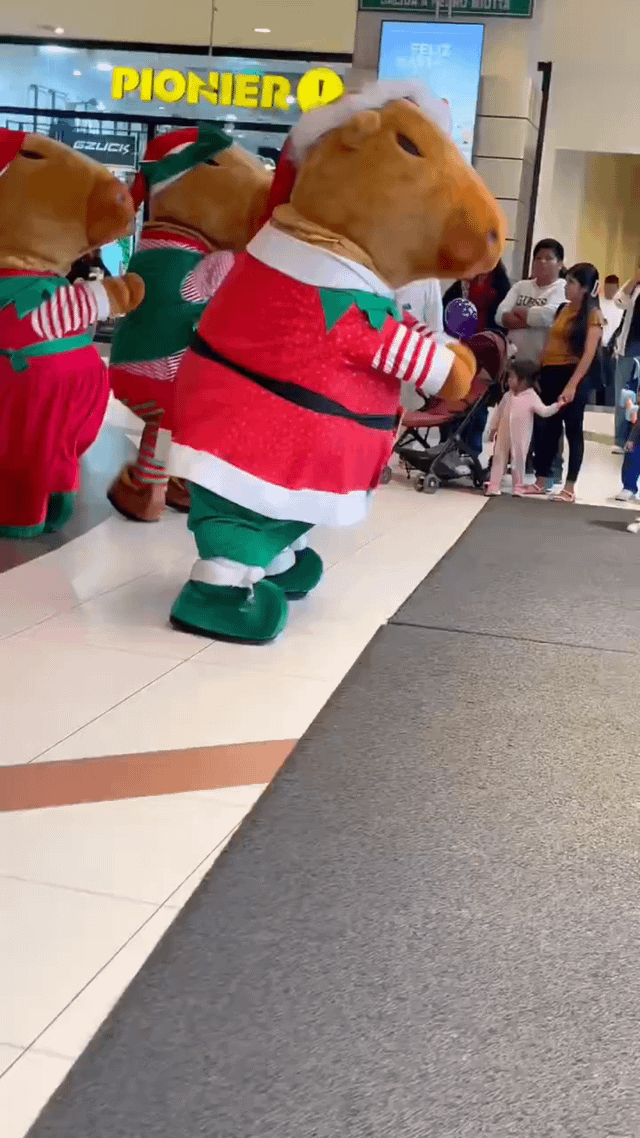 A photograph capturing a festive scene at a shopping mall where multiple capybara mascots dressed in red and green Santa's elf costumes are performing. The mascots, characterized by their large brown capybara heads and elf attire with striped sleeves, green pants, and green shoes, are positioned in the foreground, appearing to dance or interact with the audience. In the background, a group of onlookers, including adults and a small child in a pink outfit, watches the performance. The mall interior features a tiled floor, a 'PIONIER' sign visible in the upper left, and a digital screen displaying 'FELIZ' (likely part of 'Feliz Navidad' for Christmas). The atmosphere is lively and festive, suggesting a holiday-themed event.