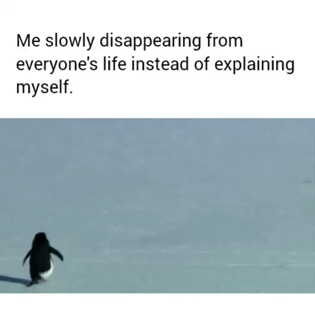 A meme composed of two sections: the top section contains black text reading 'Me slowly disappearing from everyone's life instead of explaining myself,' and the bottom section is a still image of a single penguin walking away across an expansive, empty icy surface. The penguin is small in the frame, emphasizing isolation and gradual withdrawal, visually reinforcing the text's theme of 'ghosting'—avoiding social interaction by distancing oneself rather than communicating.