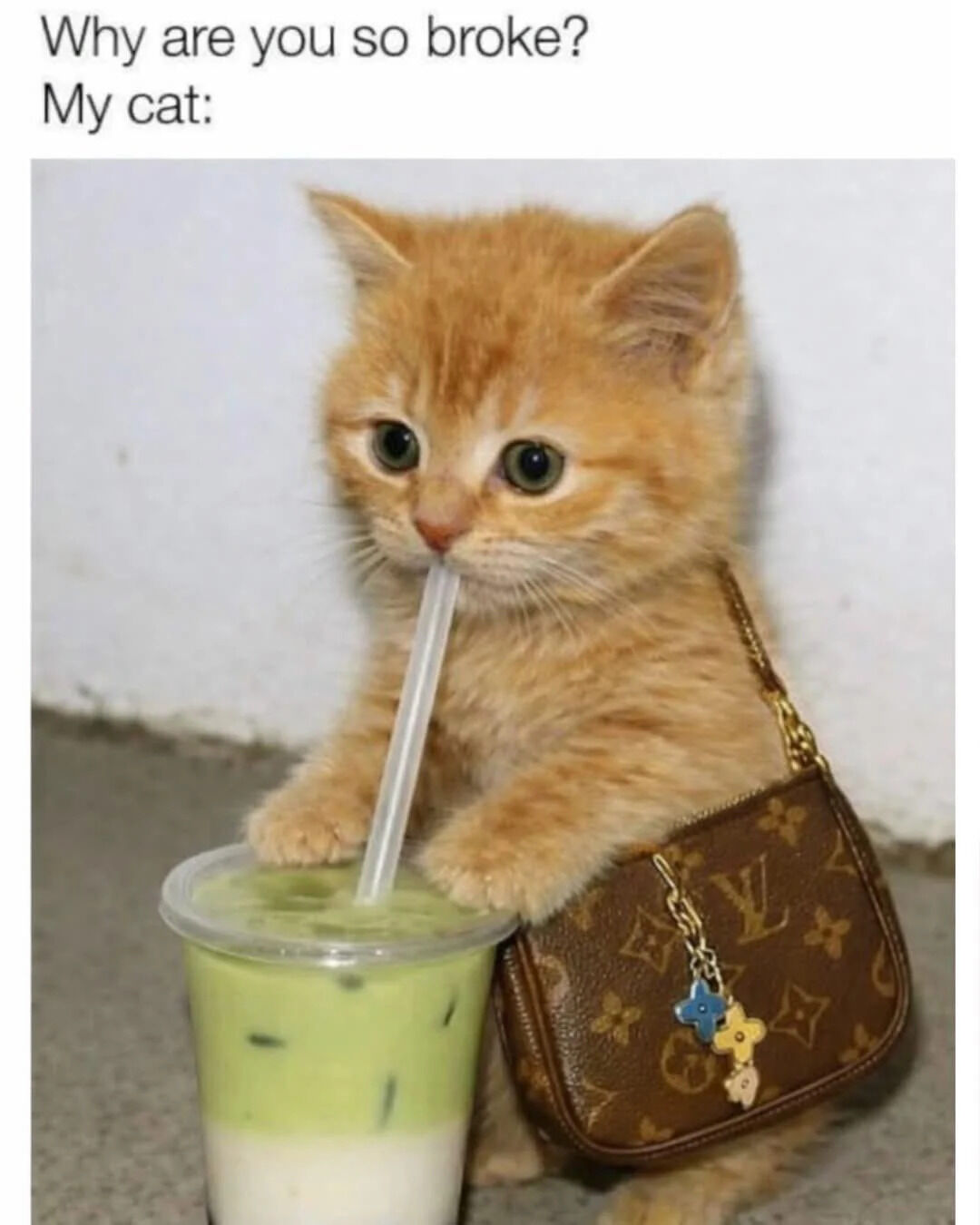 A humorous and wholesome meme featuring a small orange kitten posed in a playful scenario. The kitten sits with its front paws resting on a clear plastic cup filled with a green iced beverage (likely matcha latte) containing visible ice and a white straw. To its side, the kitten holds a small brown Louis Vuitton handbag adorned with the brand's iconic monogram pattern and a charm with blue and yellow flowers. Above the image, text reads: 'Why are you so broke? My cat:', creating a lighthearted joke that the cat's indulgent lifestyle (luxury accessories and fancy drinks) is the comedic reason for the owner's financial situation. The kitten's innocent expression and tiny size enhance the meme's wholesome and funny tone.