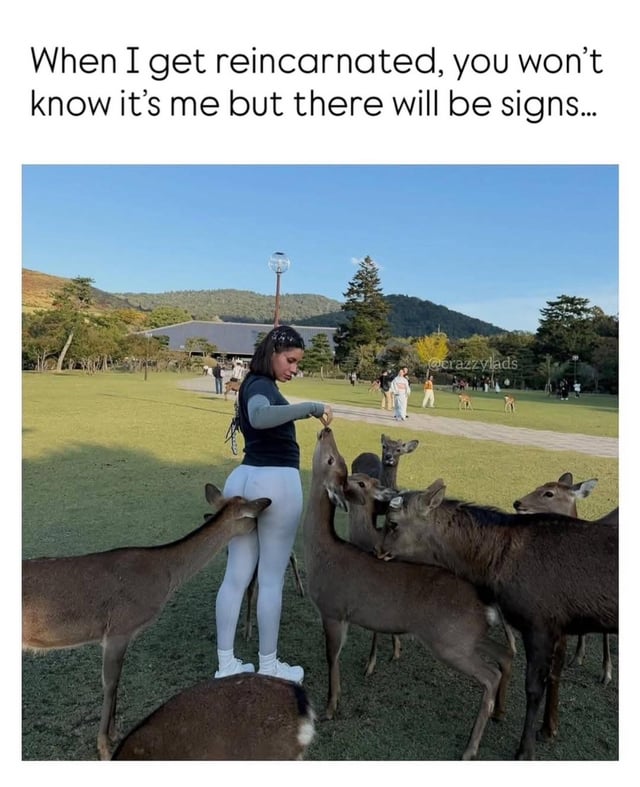 A meme consisting of a photograph of a woman standing in a lush green field, surrounded by multiple deer that she is feeding by hand. The woman is dressed in a black top, gray long-sleeve undershirt, light gray leggings, and white sneakers. In the background, there are other visitors walking along a path, trees, a traditional-style building with a sloped roof, and rolling mountains under a clear blue sky. Above the image, a caption in English reads: 'When I get reincarnated, you won't know it's me but there will be signs...' The humor stems from the playful implication that the deer, eagerly gathering around her, could be the 'signs' of a past life's reincarnation, creating a lighthearted and endearing scenario.