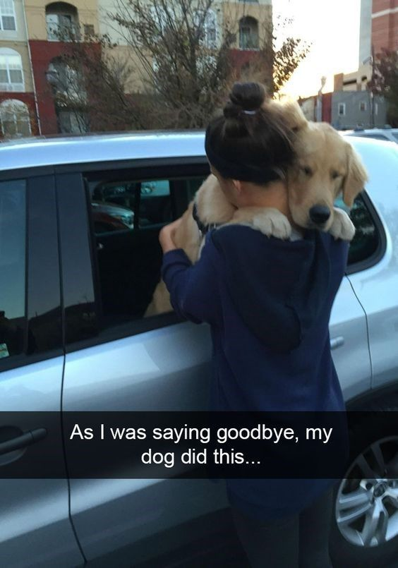 This image captures a warm, wholesome real-life moment: a golden retriever dog is tightly clinging to a woman (seen from behind, with her hair in a bun, wearing a dark blue hoodie) as she stands beside an open window of a silver SUV. The dog wraps its front paws around her shoulders, with a sad, reluctant expression, clearly not wanting to part ways. The overlaid text at the bottom reads: *"As I was saying goodbye, my dog did this..."*, which emphasizes the dog's affectionate, clingy reaction to the goodbye. This scene highlights the deep, loving bond between pets and their owners, and is highly relatable to anyone who has ever had a beloved pet that hates goodbyes.
