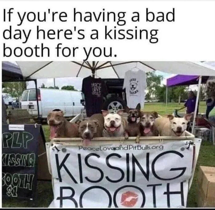 The image depicts a cheerful outdoor 'Kissing Booth' set up under a white tent, organized by PeaceLoveandPitBulls.org. Several pit bulls with happy expressions—tongues out and smiling—are gathered in a container, leaning forward as if offering kisses. A prominent sign reading 'KISSING BOOTH' with a red lip graphic is displayed on the front of the booth, and a smaller sign to the left reads 'PLP KISSING BOOTH.' Behind the booth, t-shirts hang from the tent, and a white van is parked in the background. The top of the image features an overlay text caption: 'If you're having a bad day here's a kissing booth for you.' The scene conveys a heartwarming, uplifting atmosphere aimed at cheering viewers.