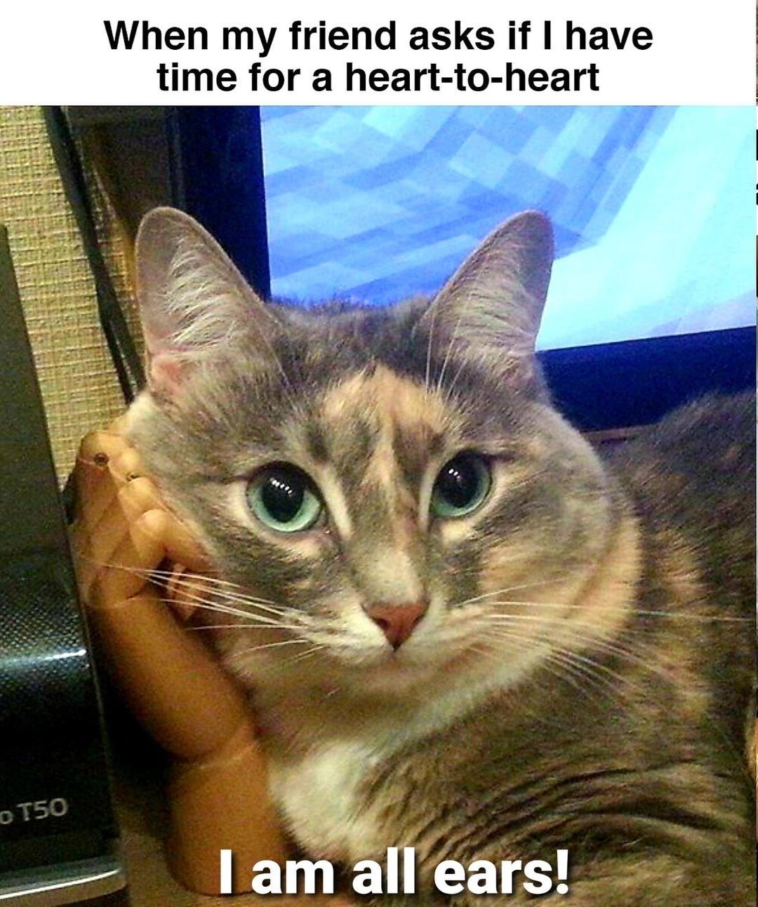 This is a single-panel pet meme featuring a dilute calico cat with large bright green eyes, posed resting its cheek on a tiny plastic human hand prop, looking directly at the viewer with an extremely attentive, focused expression. Text at the top of the image reads "When my friend asks if I have time for a heart-to-heart", and text at the bottom reads "I am all ears!". The humor comes from a pun on the common English idiom "I am all ears", which figuratively means someone is fully ready and willing to listen carefully, paired with the visual gag of the cat appearing to lean in intently to hear what their friend has to say.