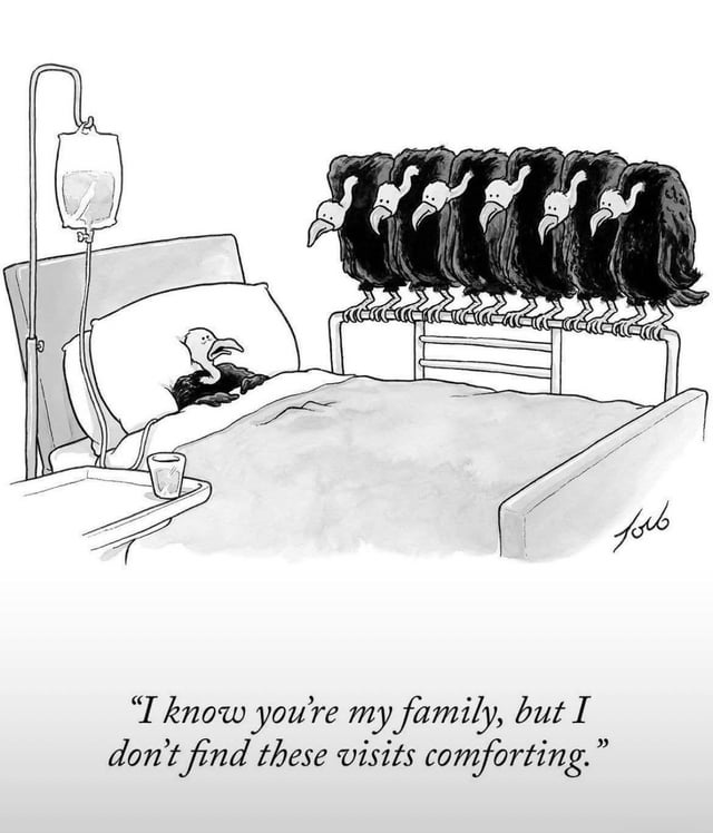 A black-and-white cartoon depicting a vulture lying in a hospital bed with an IV drip, appearing uncomfortable. Six other vultures are perched on the bed's footboard, staring intently at the patient. The caption at the bottom reads: 'I know you're my family, but I don't find these visits comforting.' The humor stems from the irony of vultures—scavengers culturally associated with death and decay—visiting as 'family,' which unsettles the patient rather than providing comfort.