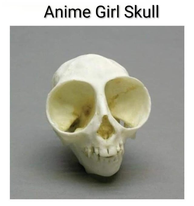 A meme image featuring a close-up of a human skull with extremely large, round eye sockets, humorously labeled 'Anime Girl Skull' at the top. The skull's exaggerated eye sockets satirize the common anime trope of female characters having disproportionately large, expressive eyes, creating a visual pun on anime art styles.