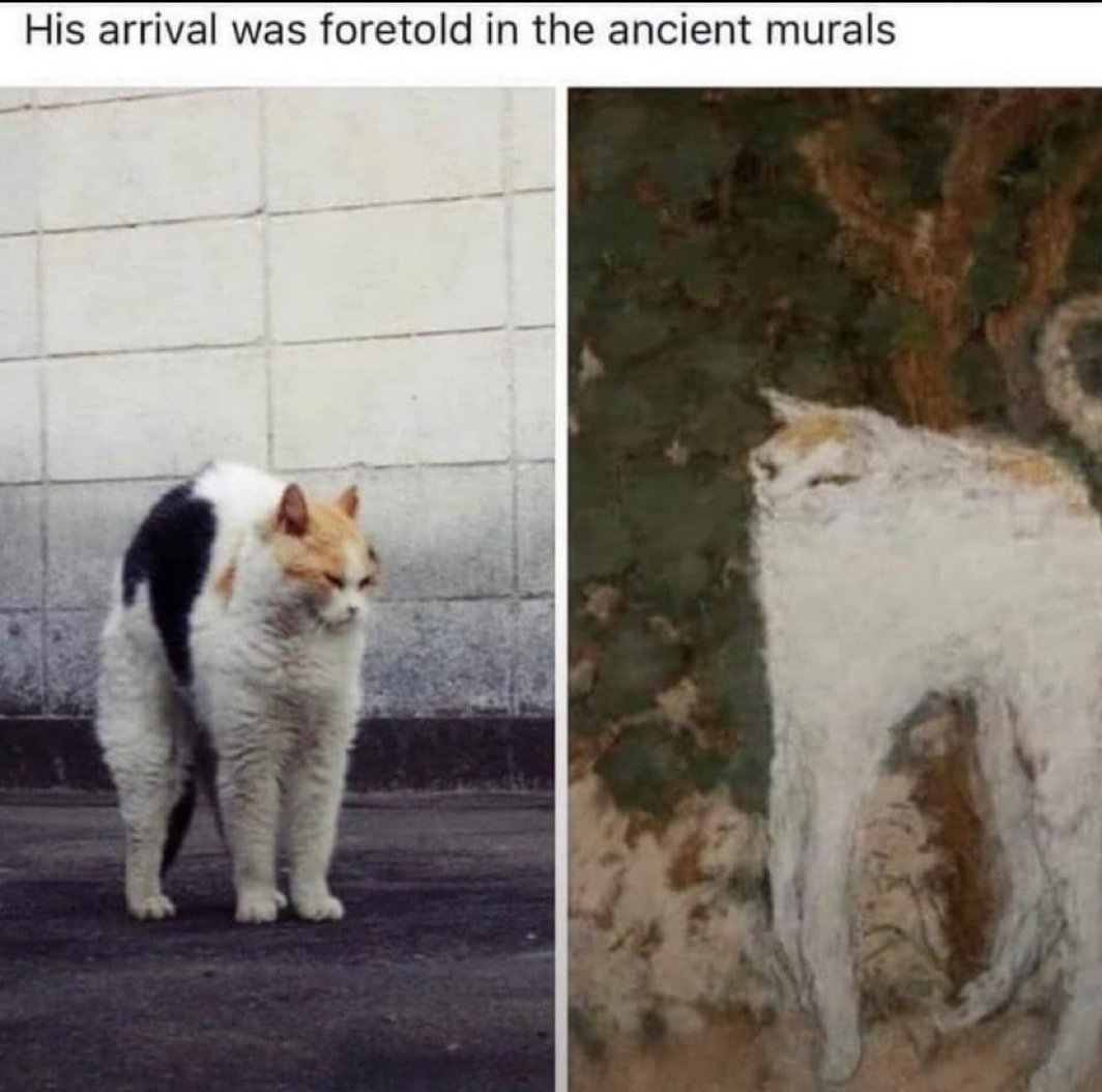 This is a two-panel collage meme. The text at the top reads 'His arrival was foretold in the ancient murals'. The left panel features a real-life chubby calico cat with white fur, an orange head, and a black patch on its back, standing on paved ground in front of a cinder block wall with a grumpy, unamused expression. The right panel displays an old, historic artwork (jokingly referred to as an ancient mural) that depicts a cat with near-identical fur markings, coloration, and facial expression as the real cat in the left panel. The comedic effect comes from the absurd framing of the ordinary domestic cat as a legendary, prophesied figure whose coming was predicted centuries ago in art, due to the coincidental visual similarity between the real cat and the painted cat.