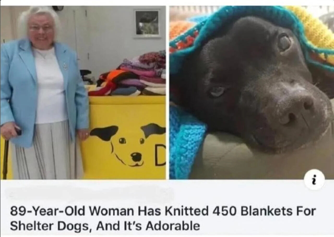 A split-screen image featuring two heartwarming photographs. On the left, an elderly woman with white hair, dressed in a light blue blazer, white top, and gray pleated skirt, stands next to a yellow box adorned with a black dog face logo. Behind her, a pile of colorful knitted blankets is visible, suggesting her charitable work. She is smiling warmly, holding a cane in her right hand. On the right, a close-up of a black dog lying under a vibrant, multicolored knitted blanket. The dog has a relaxed and content expression, with its head resting on a soft surface and eyes looking up, appearing cute and grateful. Below the images is a caption reading: '89-Year-Old Woman Has Knitted 450 Blankets For Shelter Dogs, And It's Adorable'.