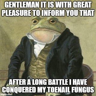 This meme features an anthropomorphic frog illustrated in 19th-century formal wear (dark tailcoat, patterned waistcoat, white cravat), sitting upright with a dignified, serious expression. The image has two bold text overlays: the top text reads *"GENTLEMAN IT IS WITH GREAT PLEASURE TO INFORM YOU THAT"*, and the bottom text reads *"AFTER A LONG BATTLE I HAVE CONQUERED MY TOENAIL FUNGUS"*. The humor comes from the absurd contrast between the frog's sophisticated, formal presentation and the mundane, relatable minor personal victory over a common trivial ailment, creating a dry, deadpan comedic effect.