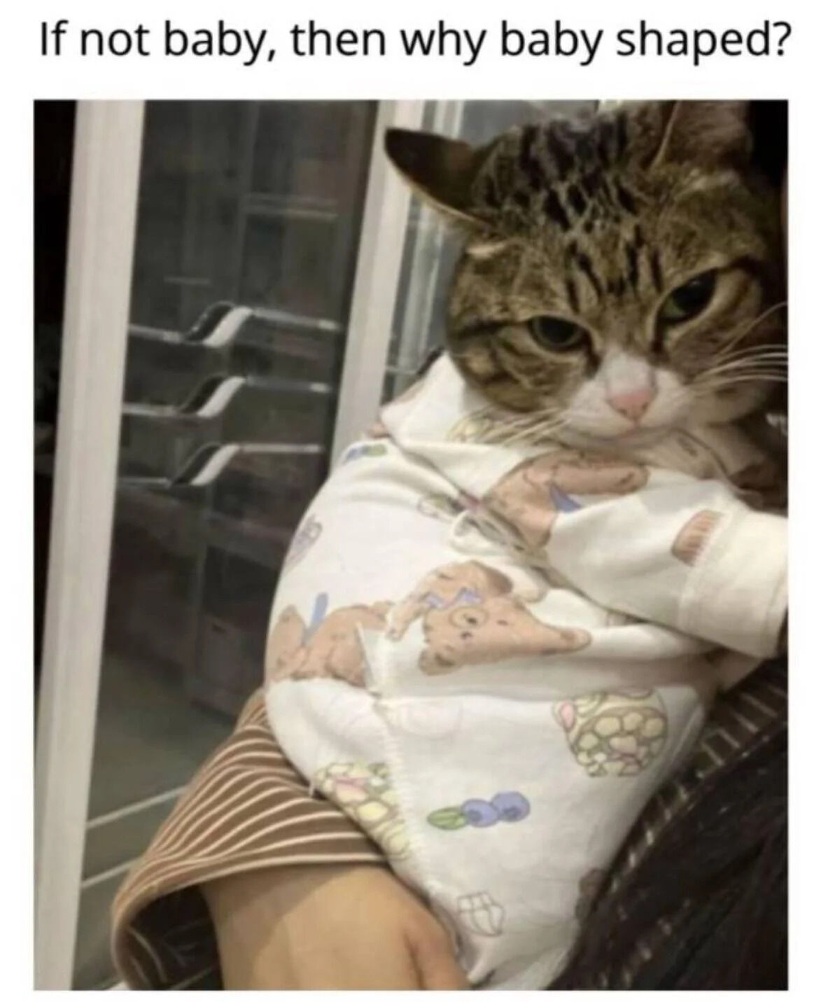 A photograph featuring a tabby cat with a serious, slightly grumpy expression being held in a person's arms. The cat is wrapped in a white baby blanket adorned with colorful teddy bear and fruit patterns, giving it a baby-like appearance. At the top of the image, a humorous caption reads: 'If not baby, then why baby shaped?' The background shows a glass door with metal handles, suggesting an indoor setting. The meme humorously plays on the cat's resemblance to a baby when wrapped in the blanket, contrasting its serious expression with the cute context.