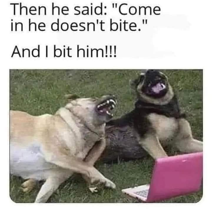 The meme consists of two lines of text above a viral photograph of two dogs on green grass appearing to laugh hysterically. The top text reads 'Then he said: "Come in he doesn't bite."', followed by the second line 'And I bit him!!!'. The two dogs, a light-colored large breed and a German Shepherd, are positioned in front of a pink laptop, seemingly cackling at the ironic joke where the dog bit a visitor immediately after its owner claimed it would not bite, creating a silly, humorous effect.