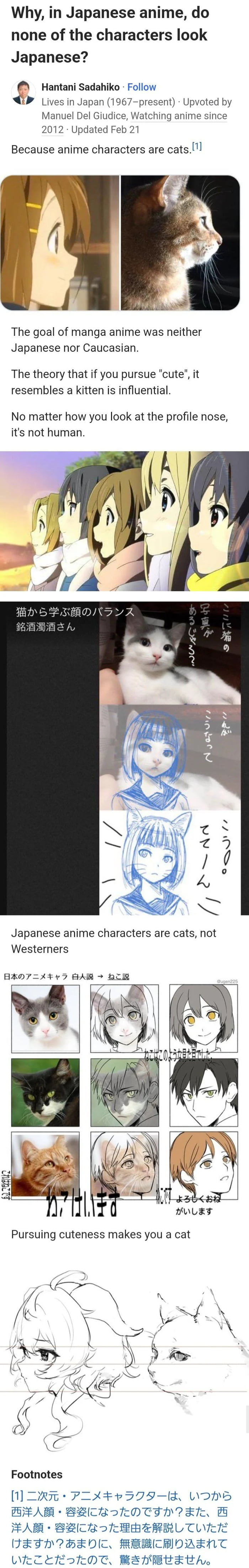 A 9Gag meme titled 'So we're all just furries huh' humorously posits that Japanese anime characters resemble cats, satirically linking them to furries. It features a question 'Why, in Japanese anime, do the characters look Japanese?' followed by a comment from 'Hannah Saldaka' stating 'Because anime characters are cats!! [2017 - Updated by Weebs watching anime]'. The meme includes explanatory text claiming manga/anime characters are neither Japanese nor Caucasian but resemble kittens' profiles when 'parsed', with collaged images comparing anime character profiles to cat profiles. Additional text reads 'Japanese anime characters are cats, not Westerners' and 'Pursuing cuteness makes you a cat', with Japanese footnotes at the bottom.