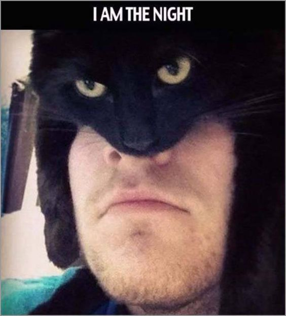 The image features a person with a neutral, slightly serious expression, with a black cat positioned on their face, covering the nose and upper lip. The cat has striking yellow eyes and appears to be staring directly at the camera with an intense, focused look. At the top of the image, bold white text reads 'I AM THE NIGHT'. The background is blurred, suggesting an indoor, casual home setting. The humor arises from the cat mimicking a 'serious' or 'mysterious' persona, playfully referencing the iconic Batman line 'I AM THE NIGHT', creating a wholesome and lighthearted contrast between the cat's intense gaze and the absurdity of its position on the person's face.