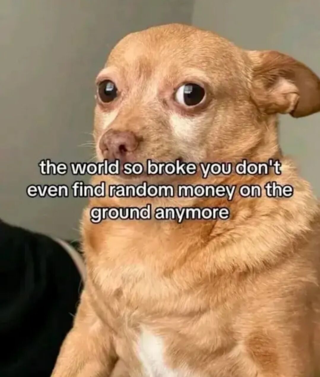 This meme features a close-up shot of a light brown chihuahua with wide, shocked, slightly disbelieving eyes looking off to the side. White text with a black outline is overlaid across the dog's face and chest, reading 'the world so broke you don't even find random money on the ground anymore'. The joke taps into relatable feelings about widespread financial strain, noting that loose spare change that was once commonly found on sidewalks or in public spaces is now far rarer, implying that people are struggling enough to pick up any small amounts of money they find immediately.