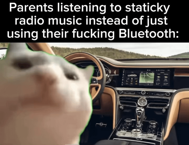 This is a relatable joke meme that comments on a common generational behavior: many parents prefer listening to static-filled analog radio music while driving, instead of using the much clearer Bluetooth connection available in modern cars to stream audio from their phones. The meme uses the viral distorted Pop Cat image edited into the driver's seat of a modern luxury car to represent the frustrated child/passenger annoyed by this unnecessary choice, with the top text expressing the exasperation.