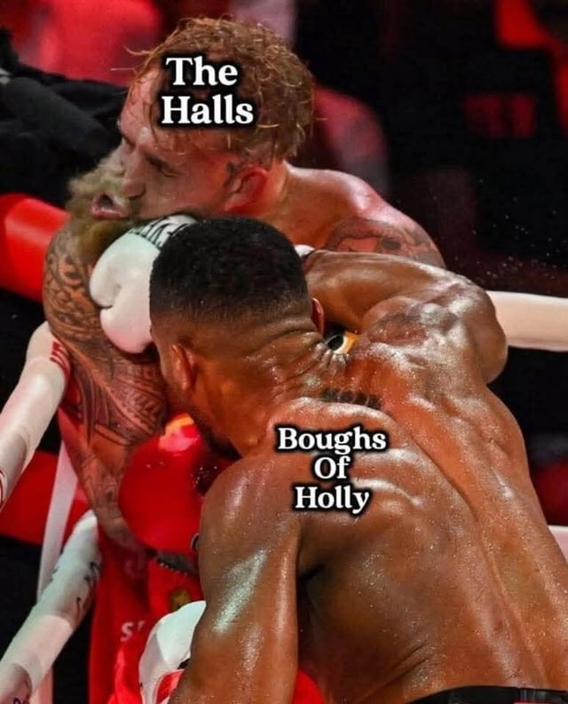 A high-energy photograph capturing an intense moment in a professional boxing match. Two boxers are engaged in close combat inside the ring: the top boxer, with red hair and visible tattoos on his left arm, leans forward as he receives a punch to the face, while the bottom boxer, shown from the back with a muscular, glistening torso, delivers the blow with red gloves. Overlaid text humorously labels the top boxer's head as 'The Halls' and the bottom boxer's upper back as 'Boughs Of Holly,' creating a pun on the classic Christmas carol lyric 'Deck the Halls with Boughs of Holly.' The scene blends athletic intensity with festive wordplay, making it a seasonal meme.