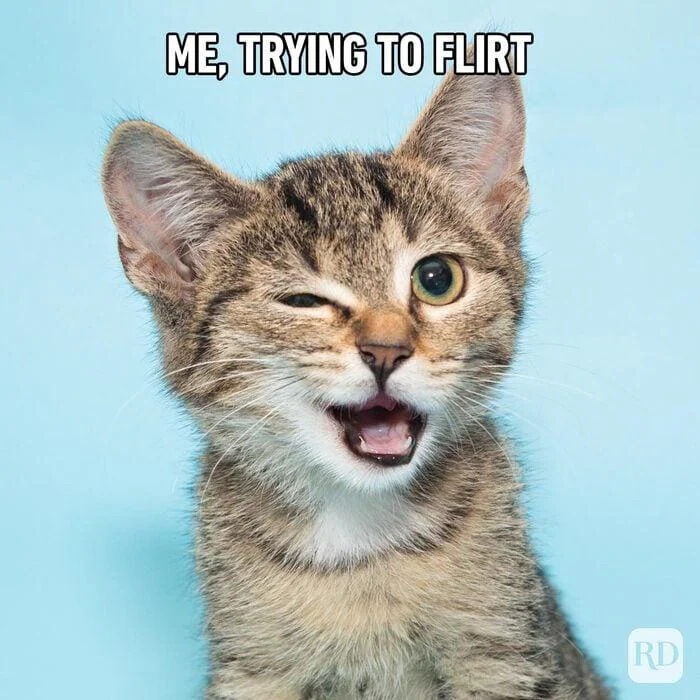 A photograph of a small tabby kitten with a light brown and black striped coat, white chest, and green eyes. The kitten is positioned against a solid light blue background, facing the viewer. It has one eye winked shut and its mouth open, creating a playful or awkward expression. At the top of the image, bold white text reads 'ME, TRYING TO FLIRT', humorously comparing the kitten's expression to a person's awkward attempt at flirting.
