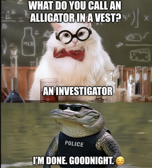 This is a two-panel pun meme. The top panel features the popular 'Science Cat' (a fluffy white cat wearing round black glasses and a red bowtie) sitting in a laboratory setting surrounded by chemistry glassware, with a chalkboard full of doodles in the background. The text above the cat asks 'WHAT DO YOU CALL AN ALLIGATOR IN A VEST?', with the punchline text below reading 'AN INVESTIGATOR' - a pun playing on the phonetic similarity between 'investigator' and 'in vest' + 'alligator/gator'. The bottom panel shows a digitally edited image of an alligator wearing a black police bulletproof vest marked 'POLICE' and black sunglasses, standing in greenish water. The text below this alligator reads 'I'M DONE. GOODNIGHT.' alongside a sleepy, tired emoji, conveying the alligator's exasperated reaction to the corny dad joke.