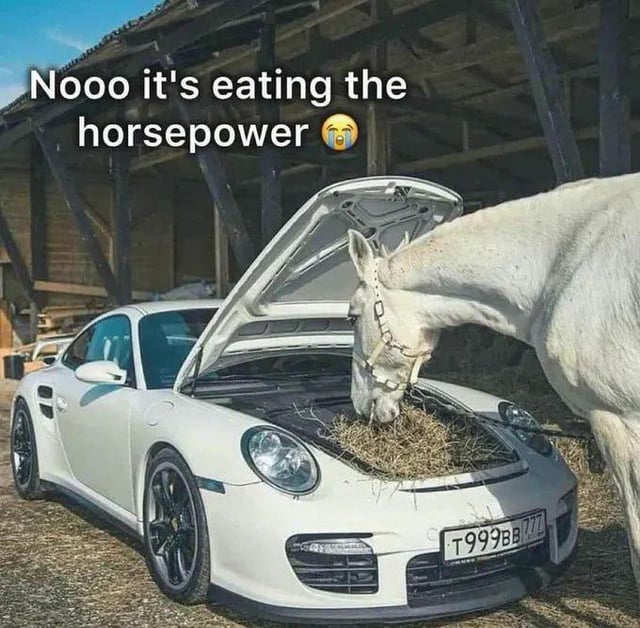 This meme features a real white horse with its head inside the open hood of a white Porsche 911 sports car, eating hay that's been placed on the vehicle's engine bay. The text overlay at the top reads "Nooo it's eating the horsepower 😭", which is a playful pun on the automotive term "horsepower" — the joke leans into the absurdity of a literal horse consuming the car's "horsepower". The scene is set in a rural, barn-like structure, amplifying the silly contrast between a farm animal and a high-performance luxury vehicle.
