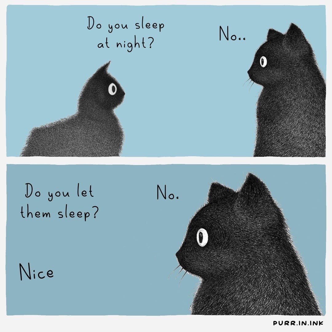 This is a two-panel hand-drawn illustration meme set against a solid light blue background, featuring two fluffy black cats with large round white eyes. In the first panel, a smaller black cat asks a larger black cat "Do you sleep at night?", and the larger cat replies with "No..". In the second panel, the smaller cat follows up asking "Do you let them sleep?", the larger cat responds "No.", then the smaller cat approves with "Nice". The joke leans into the widely recognized stereotype that domestic cats are nocturnal, mischievous, and often intentionally disrupt their owners' sleep at night, making it highly relatable for cat owners.