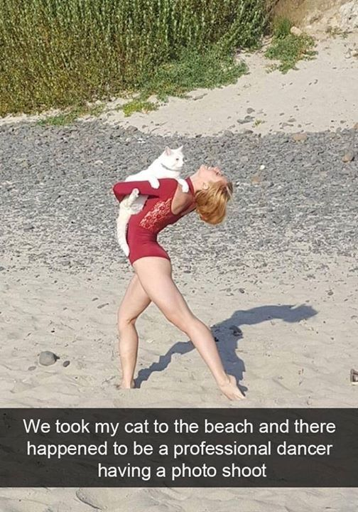 This meme uses a clever forced perspective photograph to create a humorous optical illusion. On a sandy and pebbly beach, a white cat is positioned on the upper back of a professional dancer (wearing a red leotard) who is performing a deep backbend pose. The angle of the shot makes it appear, at first glance, that the cat has the dancer's human body, striking a dramatic dance pose. The caption below the image reads: *"We took my cat to the beach and there happened to be a professional dancer having a photo shoot"*, which plays into the visual gag—framing the coincidence of the two subjects as an absurd scenario where the cat is the unexpected dancer. The humor comes from the surprising illusion, the silly idea of a cat being a professional performer, and the playful way the caption leans into the trick of the eye.