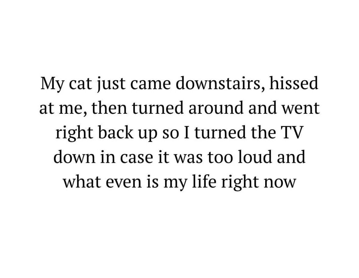 This is a plain text meme displayed on a solid white background, that recounts a funny, relatable everyday experience from a cat owner. The text tells the story: the author's cat came downstairs, hissed at the author, then immediately turned around and went back upstairs. The author immediately reacted by turning down their TV volume out of concern that the TV was too loud and upset the cat, ending with the author questioning what their life has become, now that they are completely ruled by their pet cat.