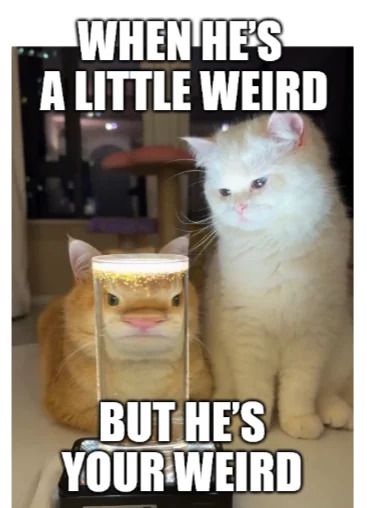 A meme featuring two real cats in a domestic setting. On the left, an orange cat has its face submerged in a clear glass container filled with a golden liquid, creating a visually odd, distorted appearance. To its right, a white cat sits calmly, looking towards the orange cat. The top text, in bold uppercase white letters with a black outline, reads 'WHEN HE'S A LITTLE WEIRD', positioned above the cats. The bottom text, in the same style, reads 'BUT HE'S YOUR WEIRD', placed below the cats. The image humorously conveys a theme of affection and acceptance of a loved one's quirks, using the cats as a relatable, endearing metaphor.