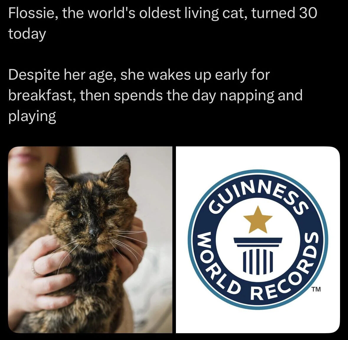 The image consists of a black background with white text at the top, a left photograph of a tortoiseshell cat being gently held by a person, and a right image of the Guinness World Records logo. The text announces that Flossie, the world's oldest living cat, has turned 30, noting her daily routine of waking early for breakfast, napping, and playing despite her age. The cat in the photo has a calm, slightly sleepy expression with half-closed eyes, and the Guinness logo signifies her world record status.