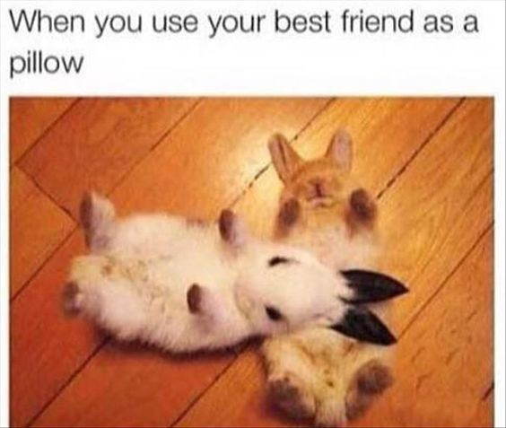 This is a wholesome meme that pairs a photograph of two real domestic rabbits with a text caption at the top. The caption reads 'When you use your best friend as a pillow', and the photo shows a light-colored rabbit lying on its back, resting its entire head on the body of a light brown rabbit, exactly matching the scenario described in the text. The relaxed postures of the two rabbits create a cute, relatable depiction of close, comfortable platonic friendship.