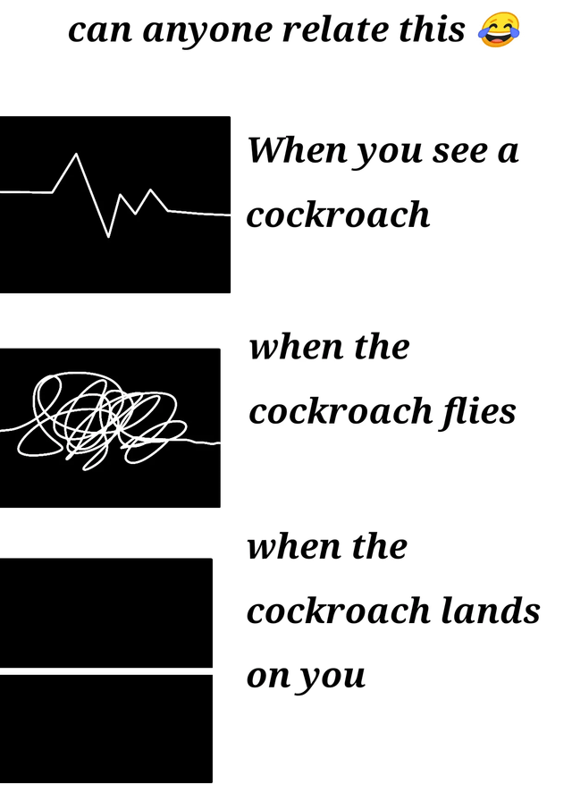 This meme uses electrocardiogram (heartbeat) graphs to humorously illustrate the increasing level of panic people experience when encountering a cockroach, step-by-step. At the top, the text asks "can anyone relate this" paired with a laughing-crying emoji to invite audience agreement. First, when you just see a cockroach, the heartbeat line has a small spike showing initial elevated heart rate from alarm. Next, when the cockroach starts flying, the heartbeat becomes a completely tangled messy line representing extreme, chaotic panic. Finally, when the flying cockroach lands on you, the line is completely flat, a joke that your heart stops from terror, which is the punchline. It plays on the common fear of flying cockroaches that many people share.
