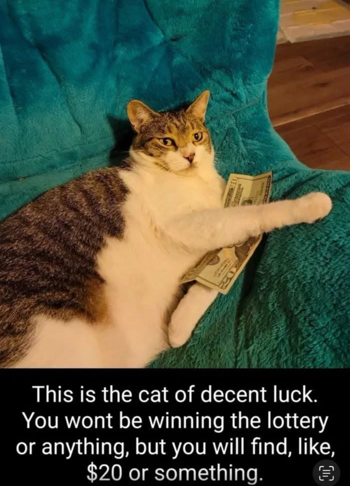A tabby and white cat lies relaxed on a soft teal blanket, extending one front paw to hold a $20 US dollar bill. The cat has a calm, neutral expression with slightly alert yellow eyes, giving a casual yet endearing demeanor. Below the image, a text overlay reads: 'This is the cat of decent luck. You wont be winning the lottery or anything, but you will find, like, $20 or something.' The meme humorously portrays 'decent luck' as the mundane but pleasant experience of finding small amounts of money, contrasting with extraordinary luck like winning the lottery.