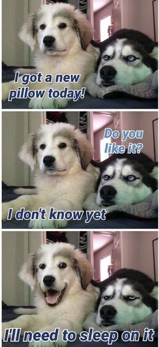 This is a 3-panel animal pun meme featuring two dogs: a cheerful fluffy light-colored puppy and an unimpressed, grumpy Siberian husky. In the first panel, the puppy announces "I got a new pillow today!" while leaning against the husky. In the second panel, the puppy asks "Do you like it?" with accompanying text answering "I don't know yet". In the final panel, the puppy grins widely with the text "I'll need to sleep on it". The core joke relies on wordplay: the idiom "sleep on it" figuratively means to take time to make a decision, while literally the puppy is using the annoyed husky as its new pillow.