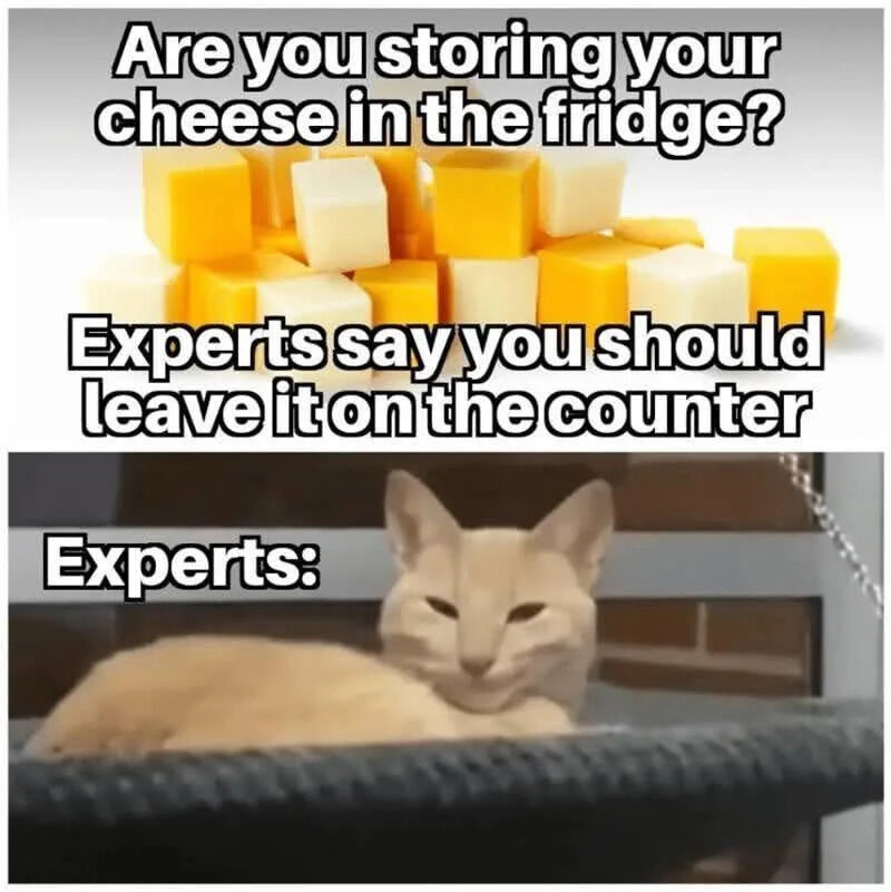 A two-panel meme. The top panel shows a pile of yellow and white cheese cubes with overlaid text: 'Are you storing your cheese in the fridge? Experts say you should leave it on the counter.' The bottom panel features a light-colored cat lying down with a calm, slightly smug expression, accompanied by the text 'Experts:' above it. The joke hinges on revealing that the so-called 'experts' giving cheese storage advice are actually a cat, implying the advice is not credible or is humorously biased.