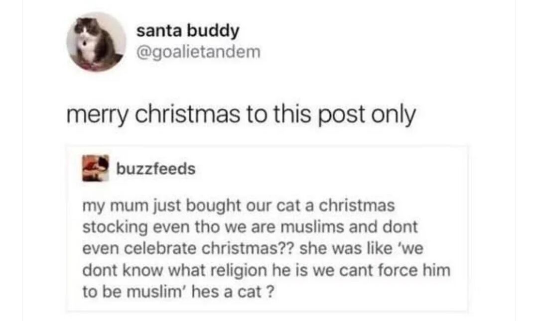 A screenshot of a Twitter/X post thread featuring two tweets. The top tweet, from user 'santa buddy' (@goalietandem), reads 'merry christmas to this post only' and quotes a tweet from 'buzzfeeds'. The quoted tweet humorously recounts a Muslim mother purchasing a Christmas stocking for their cat, explaining, 'we dont know what religion he is we cant force him,' despite the family not celebrating Christmas. The interaction highlights a wholesome, lighthearted moment blending interfaith understanding and pet affection, characteristic of wholesome memes.