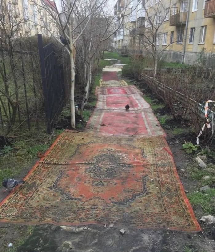 The image captures a dirt walkway located between aged, mid-rise apartment buildings characteristic of post-Soviet residential areas, shot during a cold, damp season as evidenced by bare deciduous trees and muddy ground. Multiple worn, traditional patterned area carpets are laid end-to-end covering the entire length of the muddy path, acting as a makeshift walkway. Two pigeons are visible standing on the carpets, while sparse hedges and leafless trees line both sides of the path, with more apartment buildings visible in the far distance. The post accompanying the image asks Russian viewers to explain the reasoning behind this unusual setup.
