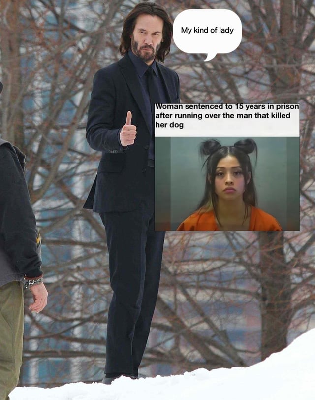 This meme combines two separate assets to make a joke referencing the John Wick film franchise. On the left is a widely circulated photo of actor Keanu Reeves (who plays the titular character John Wick, a hitman infamous for going on a murderous rampage to avenge the killing of his late wife's dog) standing outdoors in a black suit giving a thumbs up. A speech bubble added next to him reads "My kind of lady". To the right of Keanu is a news graphic: a mugshot of a young woman in an orange prison jumpsuit, paired with a headline that states "Woman sentenced to 15 years in prison after running over the man that killed her dog". The humor derives from aligning the woman's act of violent revenge for her dog's death with John Wick's core character motivation, framing Keanu/John Wick as approving of her choice despite the legal consequences.