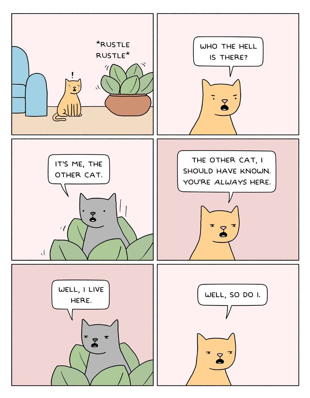 A six-panel comic featuring two cats: an orange cat and a gray cat. Panel 1: The orange cat sits near a blue couch and a large potted plant, with '*RUSTLE RUSTLE*' text indicating movement from the plant. Panel 2: The orange cat looks surprised and exclaims, 'WHO THE HELL IS THERE?'. Panel 3: A gray cat emerges from the potted plant, stating, 'IT'S ME, THE OTHER CAT.'. Panel 4: The orange cat responds with mild annoyance, 'THE OTHER CAT, I SHOULD HAVE KNOWN. YOU'RE ALWAYS HERE.'. Panel 5: The gray cat retorts matter-of-factly, 'WELL, I LIVE HERE.'. Panel 6: The orange cat, now annoyed, replies, 'WELL, SO DO I.'. The art style is simple with soft pastel colors, focusing on the cats' expressive faces and minimal background elements.