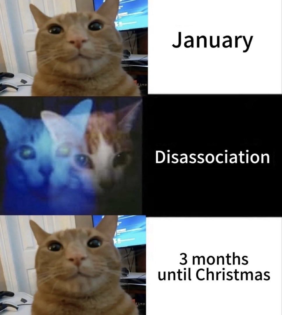 This is a 3-panel relatable humor meme. The first panel features a clear photo of a wide-eyed orange tabby cat looking directly at the camera, paired with the text 'January' on the right side. The second panel shows a glitchy, blurred, overlapping montage of multiple cat faces, paired with the text 'Disassociation'. The third panel returns to the same clear orange cat photo from the first panel, paired with the text '3 months until Christmas'. The joke humorously depicts the common subjective experience where people feel like the year passes in a disassociated blur immediately after January, skipping most of the year to arrive quickly at the lead-up to the Christmas holiday.