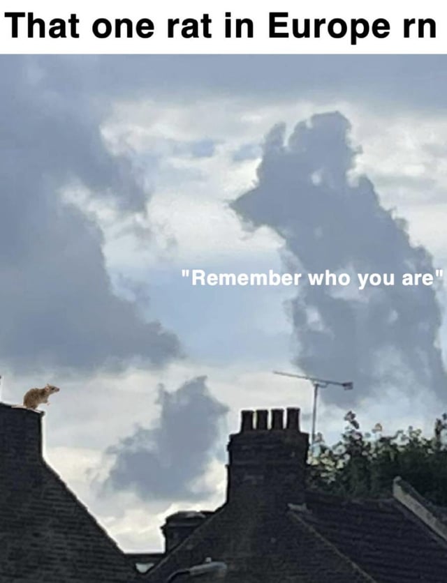 This meme features a small wild rat standing on the edge of a dark residential roof, looking up at an overcast sky. A large cloud formation in the sky strongly resembles the spirit of Mufasa from the animated film *The Lion King*. Text at the top of the image reads 'That one rat in Europe rn', while text overlaid on the cloud reads 'Remember who you are', referencing the famous scene from *The Lion King* where Mufasa's spirit gives Simba guidance. The darkly humorous joke refers to the historical role of rats as the primary vector for the Black Plague, which caused widespread death across Europe in the Middle Ages, implying the rat is being reminded of its ancestors' infamous legacy.