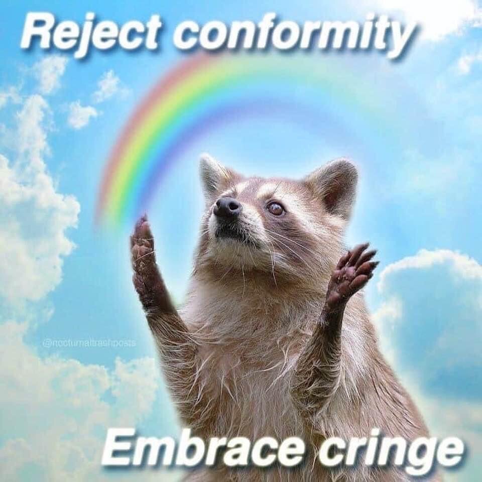 The meme features a photograph of a raccoon standing upright, holding both of its front paws raised upward while looking up with a wide-eyed, earnest expression. It is set against an edited background of a bright blue sky with fluffy white clouds, with a rainbow arching directly behind the raccoon's head. White bold text is overlaid at the top of the image reading 'Reject conformity', and matching text at the bottom reads 'Embrace cringe'. The meme conveys a message of rejecting pressure to adhere to mainstream social standards of what is considered cool or acceptable, and instead embracing unapologetic enjoyment of hobbies, behaviors, or interests that are often dismissed as awkward or 'cringe' in internet culture.