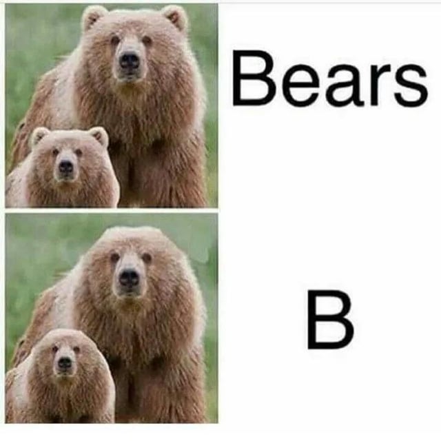A two-panel meme consisting of identical images of an adult bear and a cub standing close together in a natural setting. The top panel features the text 'Bears' in bold black font to the right of the bears, while the bottom panel shows the same bear image with the text 'B' (also bold black font) in the same position. The humor stems from a simple pun: 'Bears' is shortened to 'B', which phonetically resembles 'bees', creating a lighthearted, if uncomplicated, wordplay. The bears have neutral expressions and are standing still, facing the camera.