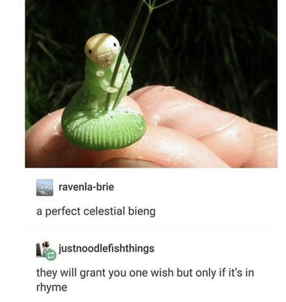 The meme has two core parts: a top photograph of an unusually cute pale-headed green caterpillar holding two thin plant stems while resting on a human's fingertips, appearing to have a friendly, almost smiling expression due to its natural markings, and two Tumblr user comments below the photo. The first comment from user 'ravenla-brie' calls the caterpillar 'a perfect celestial bieng' (an intentional playful misspelling of 'being'). The second comment from user 'justnoodlefishthings' adds a silly joke that the caterpillar will grant one wish only if the wish rhymes, framing the small insect as a charming magical wish-granting entity.