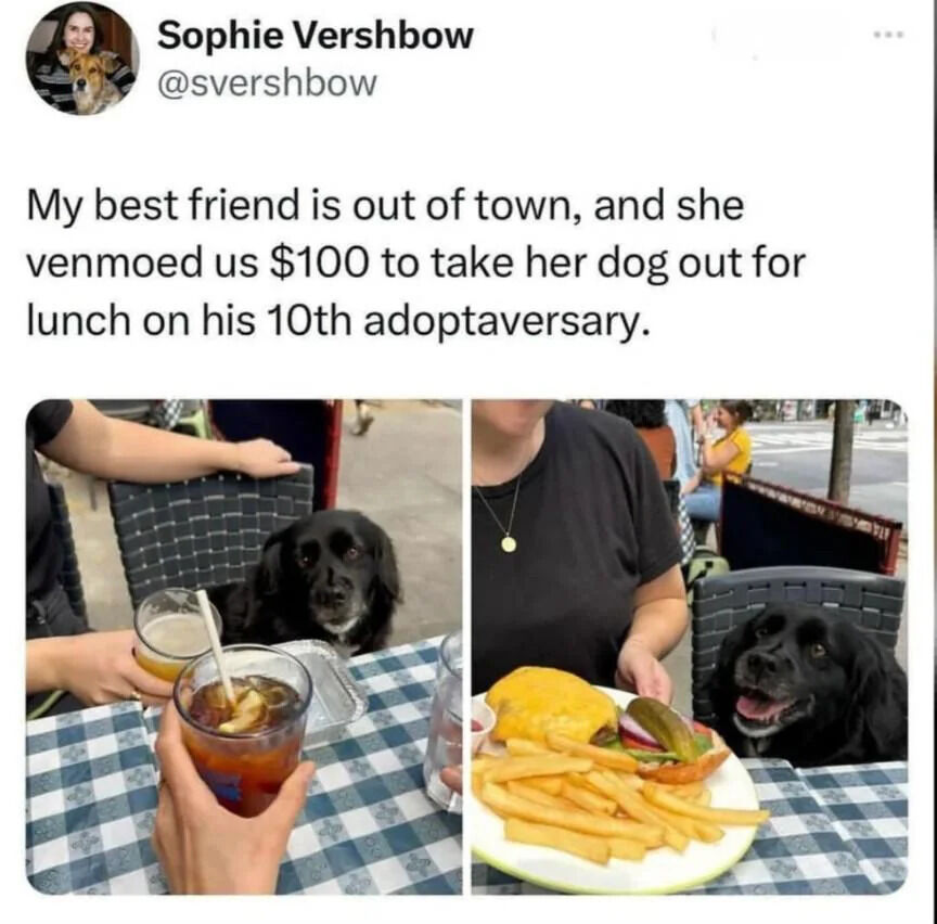 A screenshot of an X.com (Twitter) post by user Sophie Vershbow (@svershbow). The post text reads: 'My best friend is out of town, and she venmoed us $100 to take her dog out for lunch on his 10th adoptaversary.' Below the text are two photographs. The left photo shows a black dog sitting at an outdoor dining table with a checkered tablecloth, accompanied by people's hands holding drinks (one with a beer and another with a mixed drink). The right photo shows the same black dog sitting at the table, now with a woman in a black shirt placing a plate with a cheeseburger, fries, and pickles in front of him; the dog appears happy with its mouth open. The post captures a wholesome moment of celebrating a dog's adoption anniversary with friends.