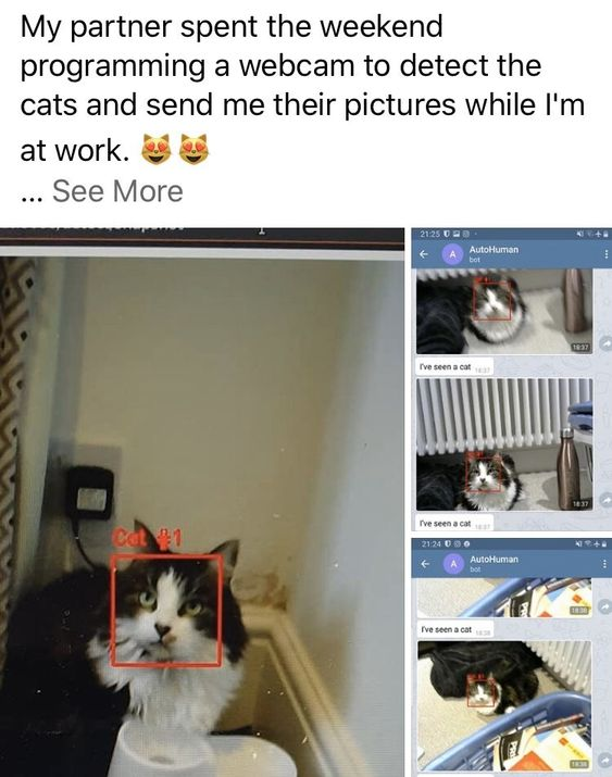 A screenshot of an X.com (Twitter) post from the WholesomeMeme account. The post text reads: 'My partner spent the weekend programming a webcam to detect the cats and send me their pictures while I'm at work. 😻😻 ... See More'. Below the text, there are two main image sections: the left image shows a black and white cat with a red square around its face labeled 'Cat #1', and the right section displays a grid of smaller cat images, each with a red square around their faces and the text 'I've seen a cat' in a messaging-style interface, possibly from a program named 'AutoKuman'. The content highlights a wholesome scenario of using technology to monitor and share photos of pets while away from home.