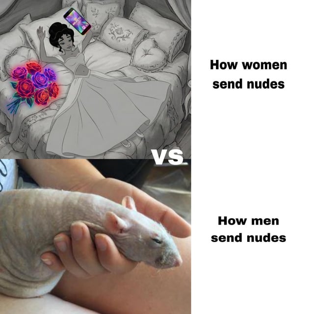 A two-panel comparison meme contrasting how women and men supposedly send nude photos. The top panel features an artistic drawing of a woman in a flowing dress lying on a bed with decorative pillows, surrounded by glowing red and purple roses, with a smartphone visible above her. The bottom panel shows a photograph of a hairless rat being held in a person's hand. The text 'VS' separates the two panels, with 'How women send nudes' labeling the top panel and 'How men send nudes' labeling the bottom panel. The meme uses visual humor to exaggerate gender stereotypes about sending intimate photos.