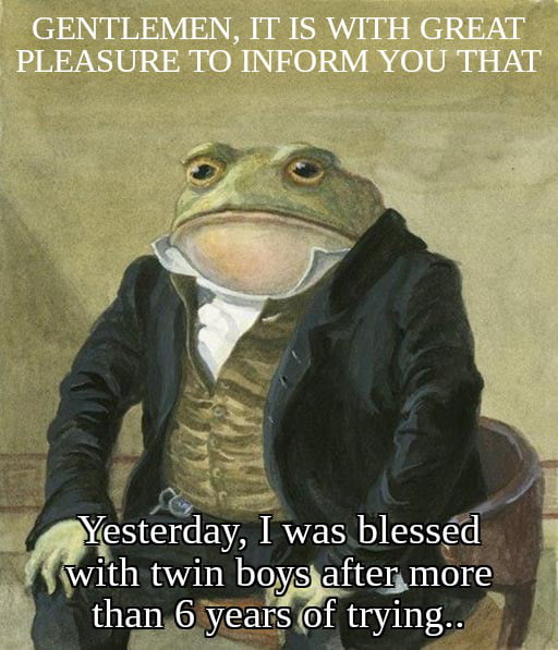 This is a single-panel meme featuring a classic illustration of an anthropomorphic frog dressed in formal 19th-century Victorian gentleman attire, including a black coat, striped waistcoat, and white ruffled collar, sitting upright on a wooden chair with a calm, dignified expression. White text is overlaid at the top and bottom of the image: the top text reads 'GENTLEMEN, IT IS WITH GREAT PLEASURE TO INFORM YOU THAT', and the bottom text completes the announcement: 'Yesterday, I was blessed with twin boys after more than 6 years of trying..'. The meme uses the formal, aristocratic vibe of the frog character to deliver a heartfelt personal happy announcement with a light humorous tone.