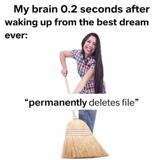 This relatable meme jokes about the extremely common frustrating experience where immediately after waking up from an incredibly good dream, your brain completely erases all memory of it, as if it permanently deleted the dream 'file' from your memory. The meme uses a visual metaphor: a cheerful woman sweeping with a broom, which represents the brain happily and quickly sweeping away all traces of the good dream you wanted to remember.