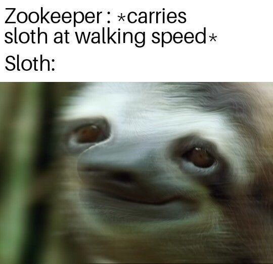 This is a two-part humor meme. The top text sets up the scenario: a zookeeper is carrying a sloth while moving at a regular human walking speed. The bottom section is a heavily motion-blurred close-up photo of a sloth's face, implying that the sloth perceives the normal walking speed as extremely fast and disorienting. The joke plays on the well-known fact that sloths move at an extremely slow natural pace, so even a gentle walking speed feels like a thrilling, high-velocity ride to them.